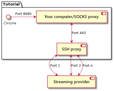 The SOCKS proxy can handle multiple ports simultaneously